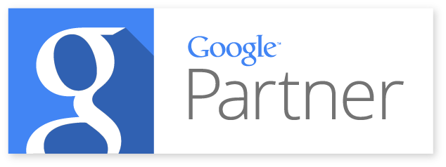 Google Partner 2014